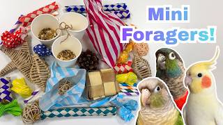 Mini Foragers for Parrots | Cheap & Easy DIY Bird Toys | BirdNerdSophie