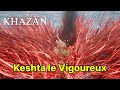3- Keshta le Vigoureux : il envoie du lourd, mais pas assez