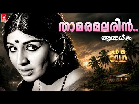 Thamara Malarin....| Aaradhika | P. Susheela | M. S. Baburaj | Sreekumaran Thambi