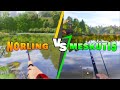 Russian fishing 4 norling vs meskutis  48 hour challenge rf4 russianfishing4