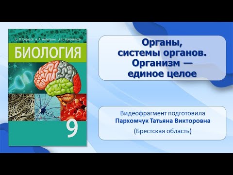 Клетки, ткани, органы и системы органов. Тема 3. Органы, системы органов. Организм — единое целое