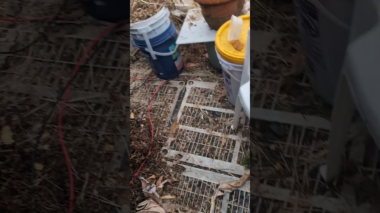 Aquaponics update 3 6 26 ☮️❤️🌎🐟🌿🍄🐾👣