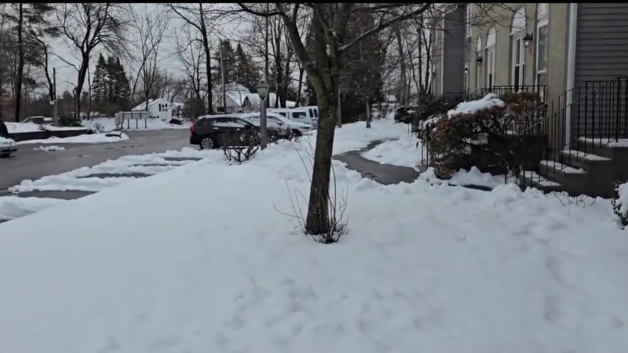 The Morning After A Wintry Mix Storm - The Beauty of The Snow - YouTube