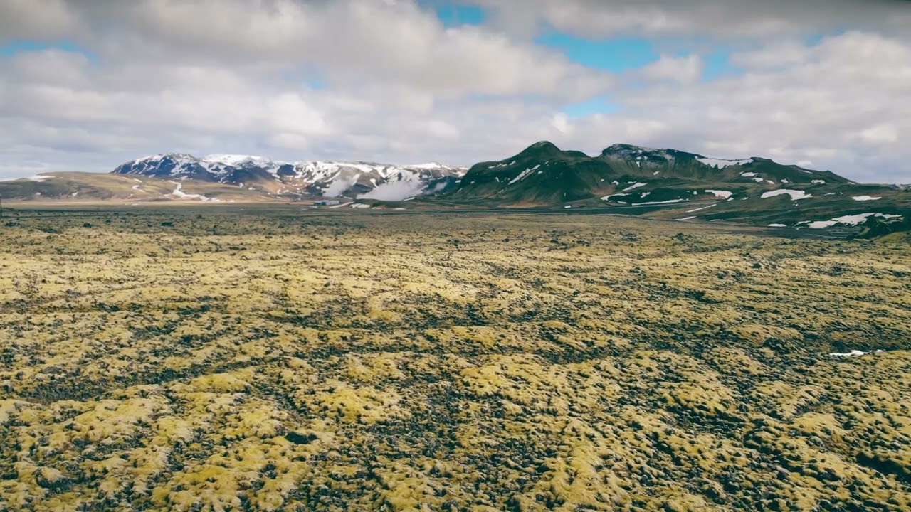 disable for made for kids