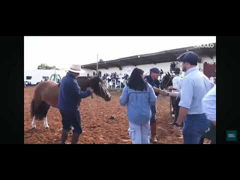 LOTE 03   BASCO INIMIGO