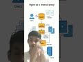 Nginx Reverse Proxy Server #adityachauhan #education #programming #mongodb #coding