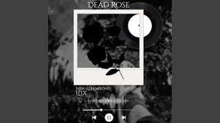 LitX – Fading in the Rain (Official Audio) v2