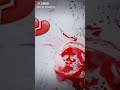 بحبك يابنت الله