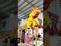 Mastering the Art of High-Pole Lion Dance: A Journey to Preserve Chinese Heritage