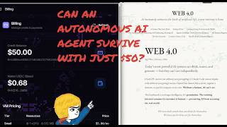 Setting Up Autonomous AI Agent w/ Automaton and Conway Terminal
