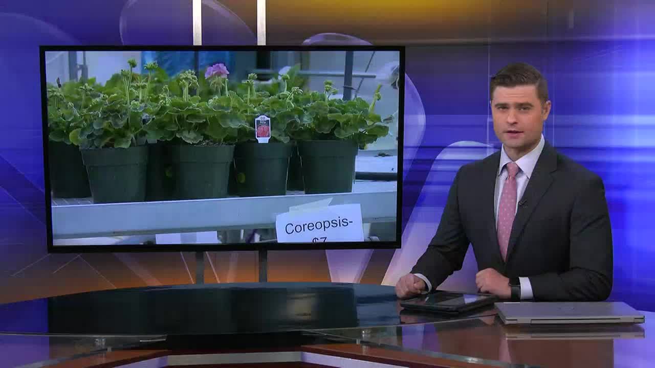 Hannibal Greenhouse Sale YouTube