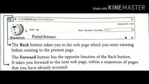MLZS JHANSI CLASS 5 Computer Chapter 5 Lecture 2
