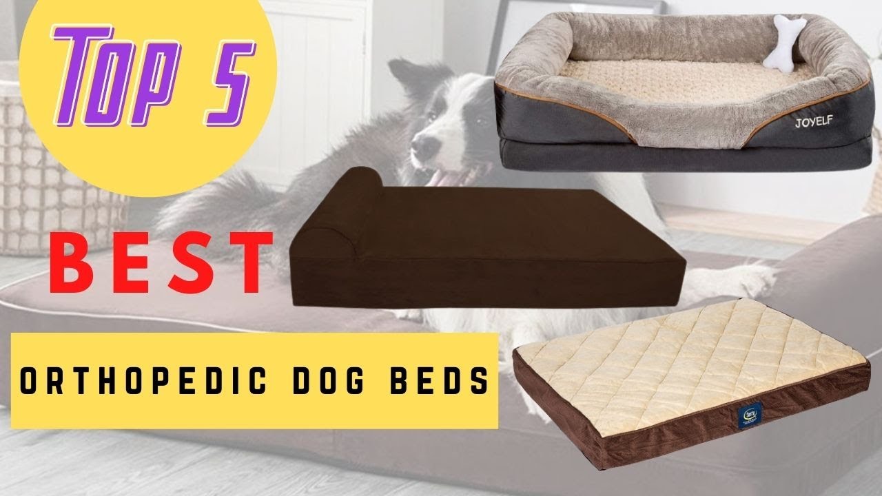 What Type Of Orthopedic Dog Beds Best For You