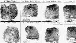 Topic 2   Collection and processing of forensic evidence