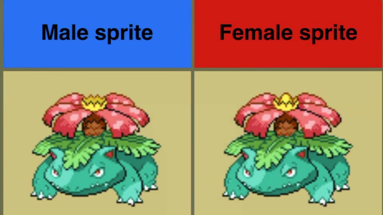 Spot the difference between male and female Pokemon YouTube