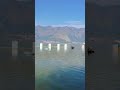 creatures of allah #cover #singer #music #lifeisbutadream #travel #nature #musicgenre #ytshorts