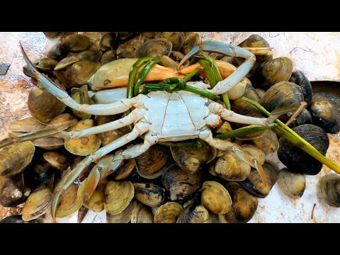 Video Đang Móc Dộp Gặp Được Con Cua To Về Nhà Ăn Được Món Ốc... - youtube