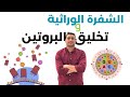 الشرح الأسطوري تخليق البروتين والـ  من الألف للياء أحياء تالتة ثانوي 2026