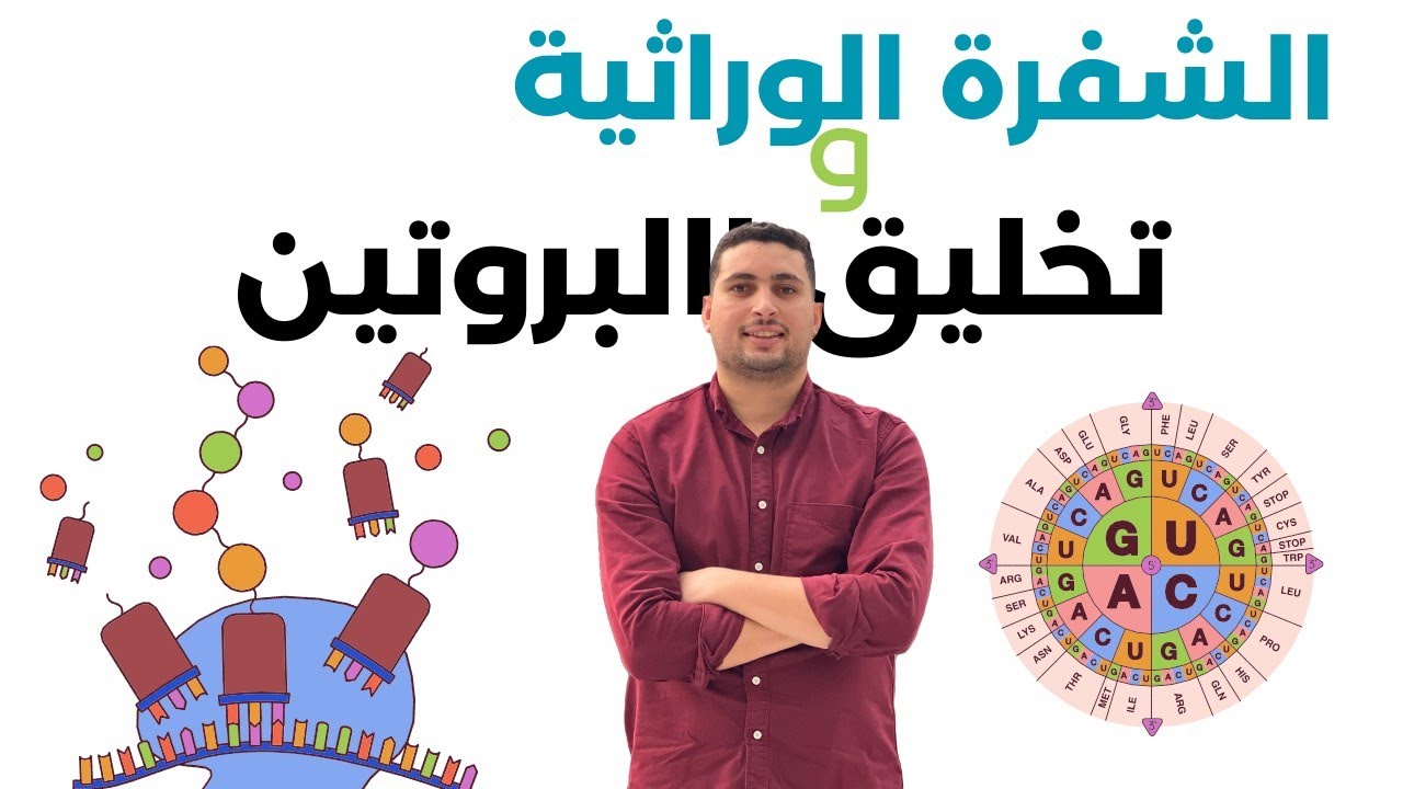 الشرح الأسطوري: تخليق البروتين والـ $RNA$ من الألف للياء 🧬 أحياء تالتة ثانوي 2026