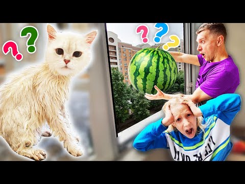 Видео: ЧТО ПАПА СДЕЛАЛ С АРБУЗОМ?? Как мы МЫЛИ ЭЛЬКУ!! КОШКА УКУСИЛА ПАПУ!!!  почему МАМА не любит СЛАЙМЫ?!