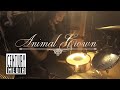 WAYFARER – Animal Crown | ROADBURN REDUX PT. III (LIVE AT THE HI DIVE – DENVER, CO)