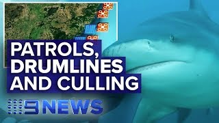 State-by-state the shark debate is in full swing | Nine News Australia