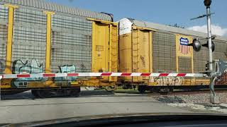 CSX Auto Rack train LIRC Louisville and Indiana