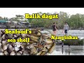 Sea She'll | Kinhason Na nginhas kami ni Benjie