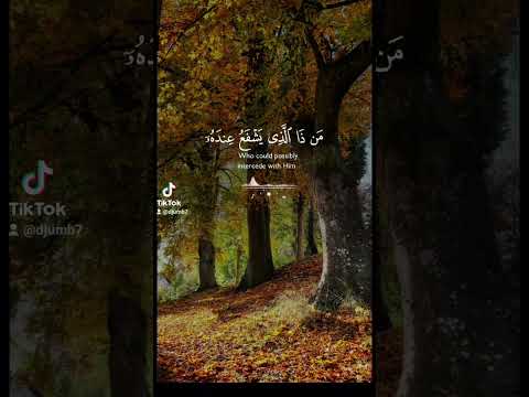 أنشر هذا الفيديو بنية الابتعاد عن الربا في شراء منزل رزقنا الله و إياكم آية الكرسي