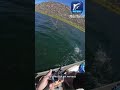 reel&boat#fishing#shortvideo #shorts #floridafishing #viral #dailyvlog #foryou #usa #uk #australia