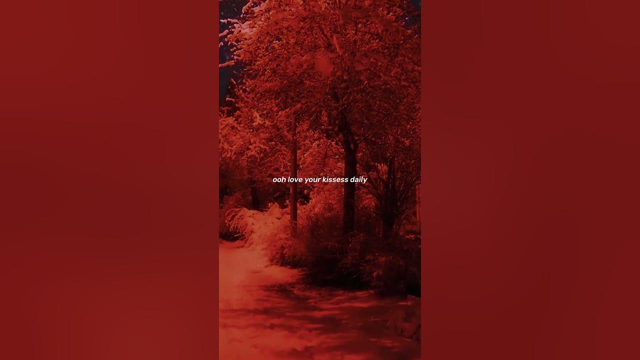 Shawn Mendes & Camila Cabello - Señorita (Lyrics)💖💖 #señorita #lyrics #shawnmendes #camilacabello Shawn Mendes & Camila Cabello - Señorita (Lyrics)💖💖 #señorita #lyrics #shawnmendes #camilacabello