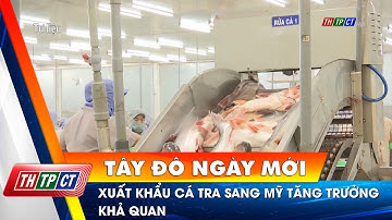 Xuất khẩu cá tra sang Mỹ tăng trưởng khả quan | Cần Thơ TV