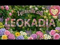 Życzenia dla LEOKADII 💐 Piosenka z życzeniami - Imieniny LEOKADII