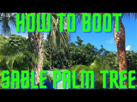 COMMENT BOOT SABLE PALMIER /