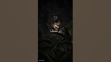 أكتب شيء تؤجر عليه🌿🌹#قرآن#quran#المصحف##سورة#قارئ#شيخ#تلاوة#تدبر#ترتيل#راحة_نفسية#الله#آيه#اكسبلور