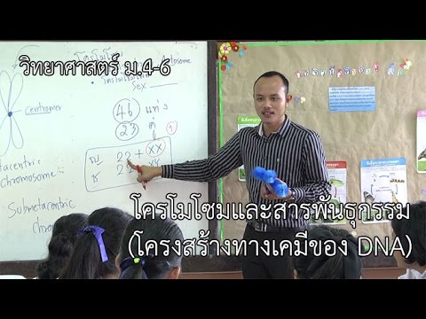 วิทยาศาสตร์ ม. 4-6 โครโมโซมและสารพันธุกรรม (โครงสร้างทางเคมีของ DNA)  ครูปฤษฎางค์ เกี้ยงเก่า