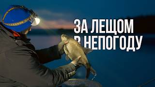 Секреты ловли ЛЕЩА фидером на водохранилище! ДЕЛИКАТНАЯ ОСНАСТКА РЕШАЕТ!