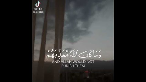 وما كان الله || قرآن كريم بصوت الشيخ احمد النفيس || حالات واتس اب دينية