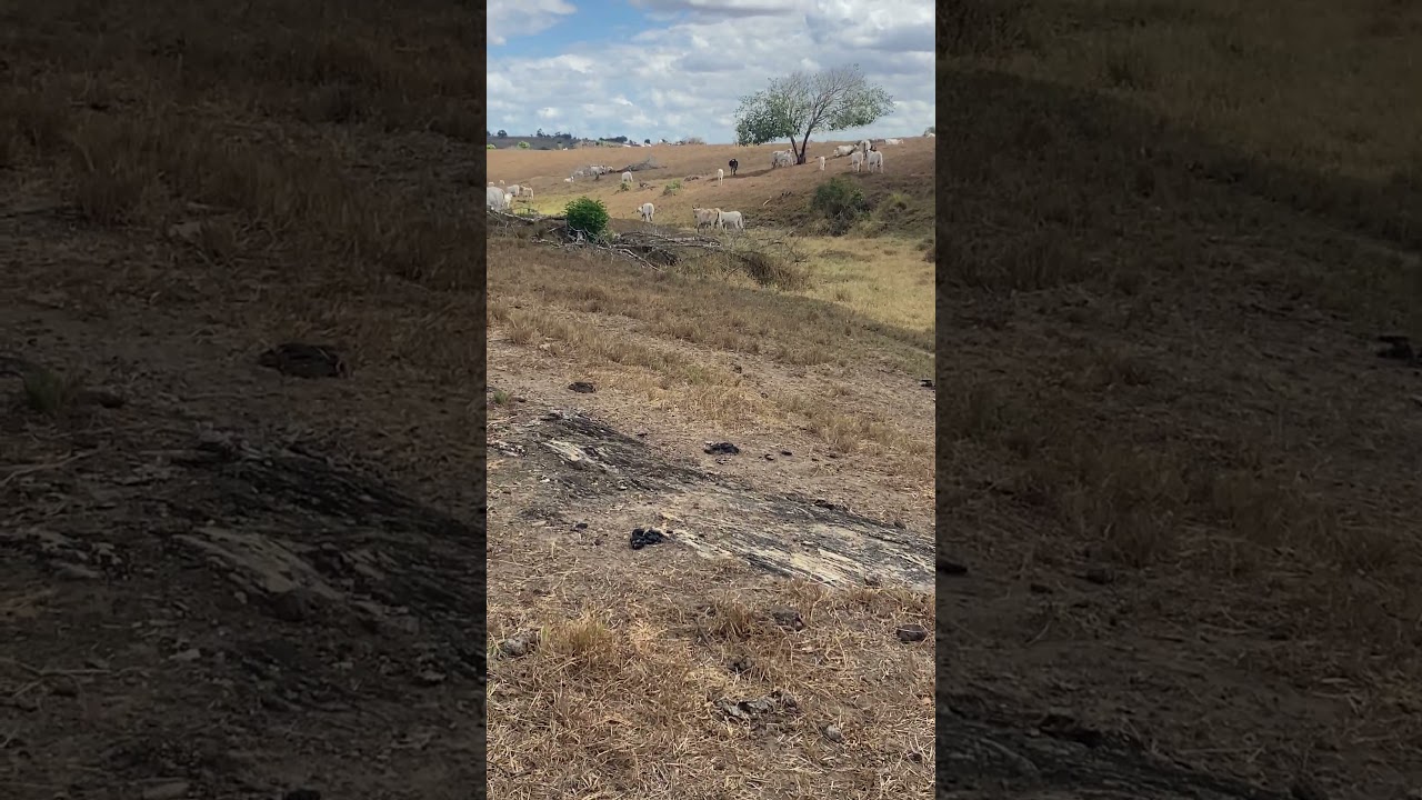 1 de janeiro de 2026