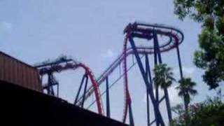 Busch Gardens - Sheikra - Grupo Da Regina Disney 2006