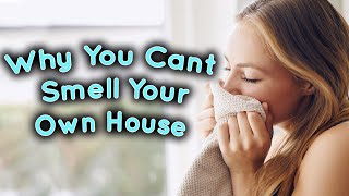 Why Can't You Smell Your Own House?