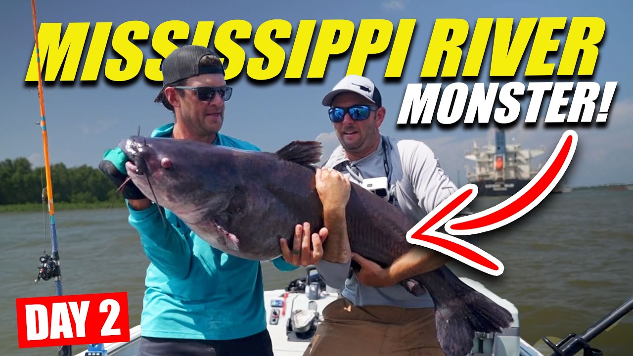 65 Pound Blue Catfish Caught In the Mississippi River | Day 2