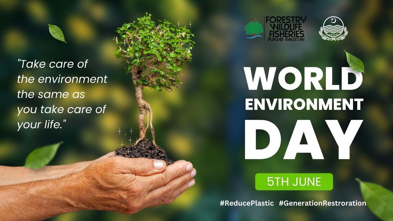 Punjab's Environmental Crisis: Plastic Pollution Land Degradation etc | World Environment Day 2024 🌍