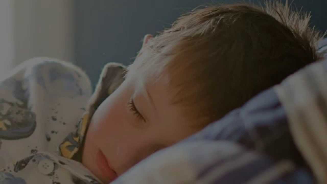 שכב בני  אריק לביא