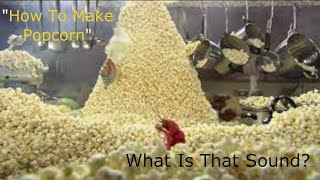 How To Make Popcorn! - What Is That Sound?