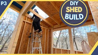 My DIY Shed Build: An Unforgettable Experience | P3