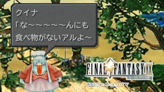 シロクマが導かれるクリスタルの物語 | ファイナルファンタジーⅨ #6