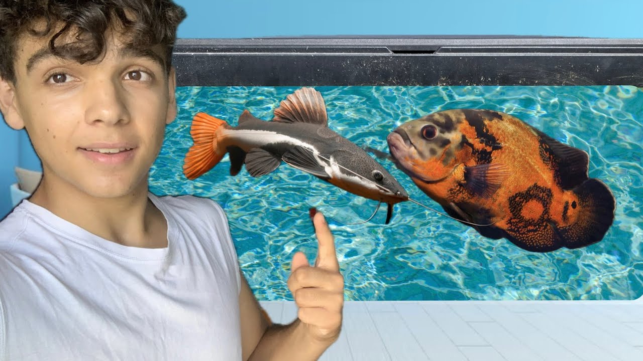 il mio NUOVO ACQUARIO da 400 LITRI !!! - YouTube