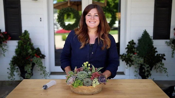 How to Create Height in a Succulent Arrangement! 🌱🥰💚// Garden Answer