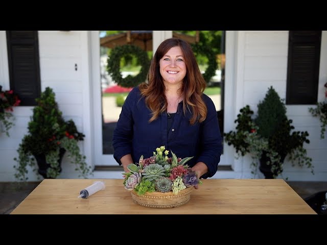 How to Create Height in a Succulent Arrangement! 🌱🥰💚// Garden Answer class=